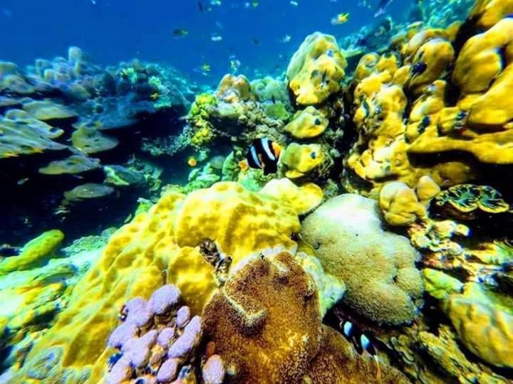 Daya Hill Seaview Hotel Koh Lipe Ngoại thất bức ảnh